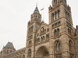 London 060  Natural History Museum